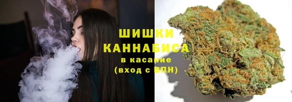 шишки Беломорск