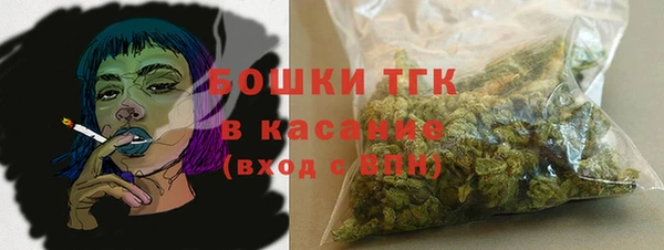 шишки Беломорск