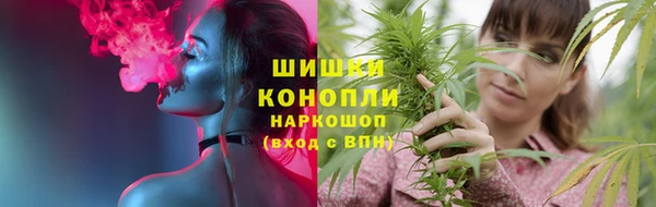 ешки Белокуриха