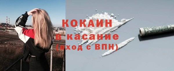 шишки Беломорск