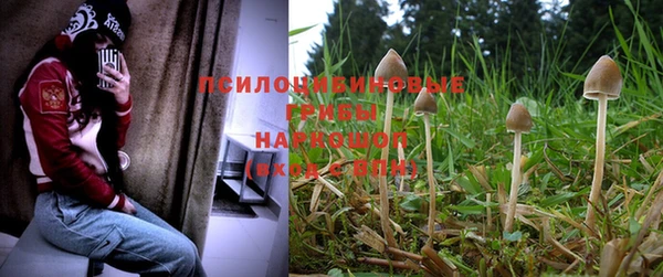 шишки Беломорск
