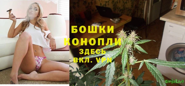 шишки Беломорск