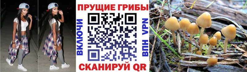 Галлюциногенные грибы ЛСД  наркотики  ссылка на мегу зеркало  Бородино 