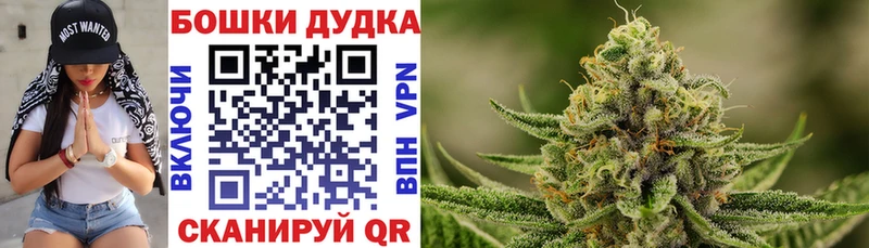 Конопля конопля  Бородино 